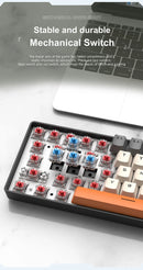 APAYADO K61 Mini Mechanical Keyboard,Wired,61 Keys,Phantom RGB, Black/White Red/Blue Mechanical Switch for Gaming,60% Portable