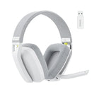 BINNUNE BW06 Bluetooth Headsets Gamer with Mic for PS5 PS4 PC Mac Playstation Wireless 2.4GHz Gaming Headphone with Microphone